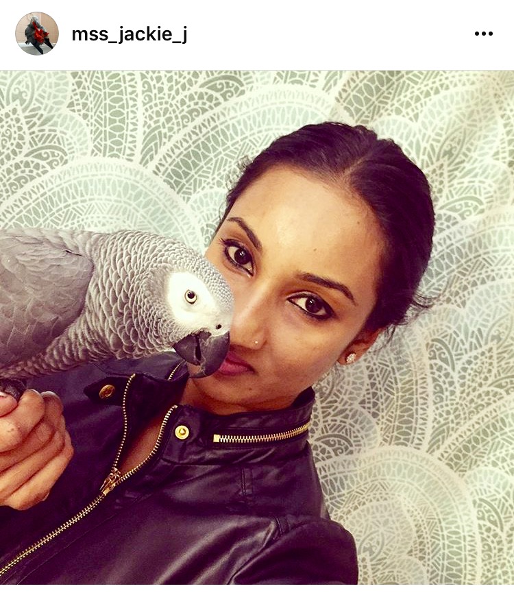 5 of the Best Animal Instagram Accounts that Will Brighten Your Day